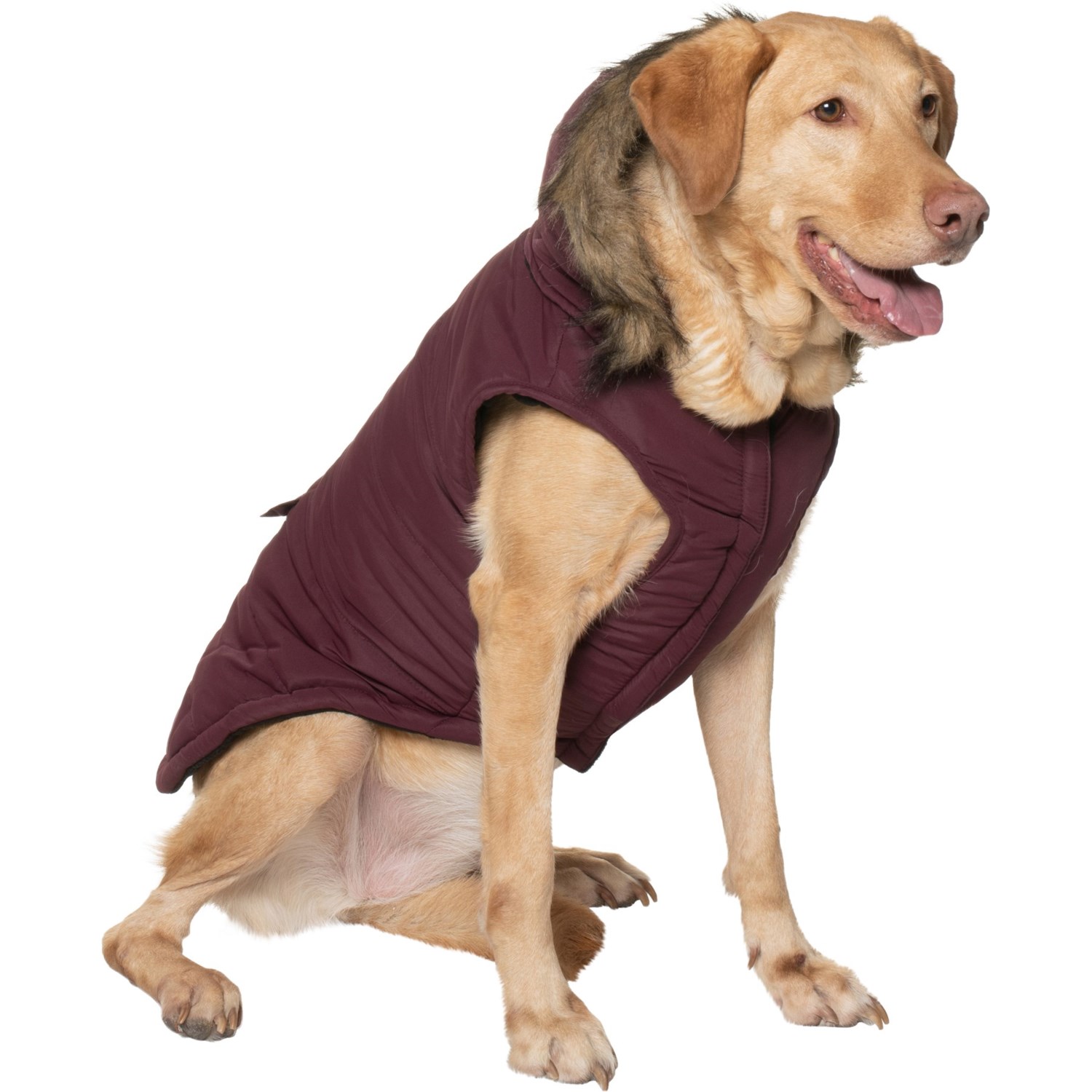 extra large dog jacket