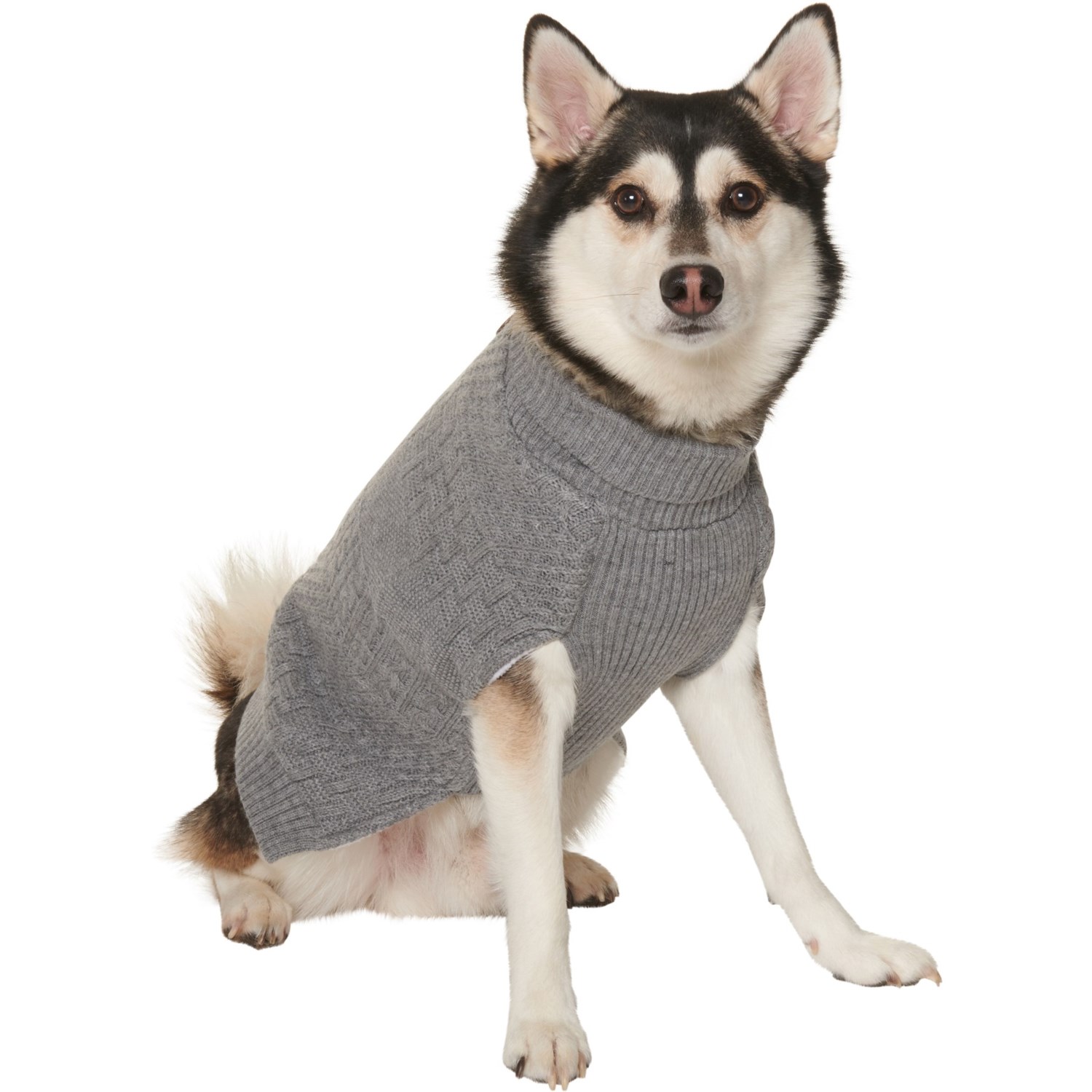 gray dog sweater