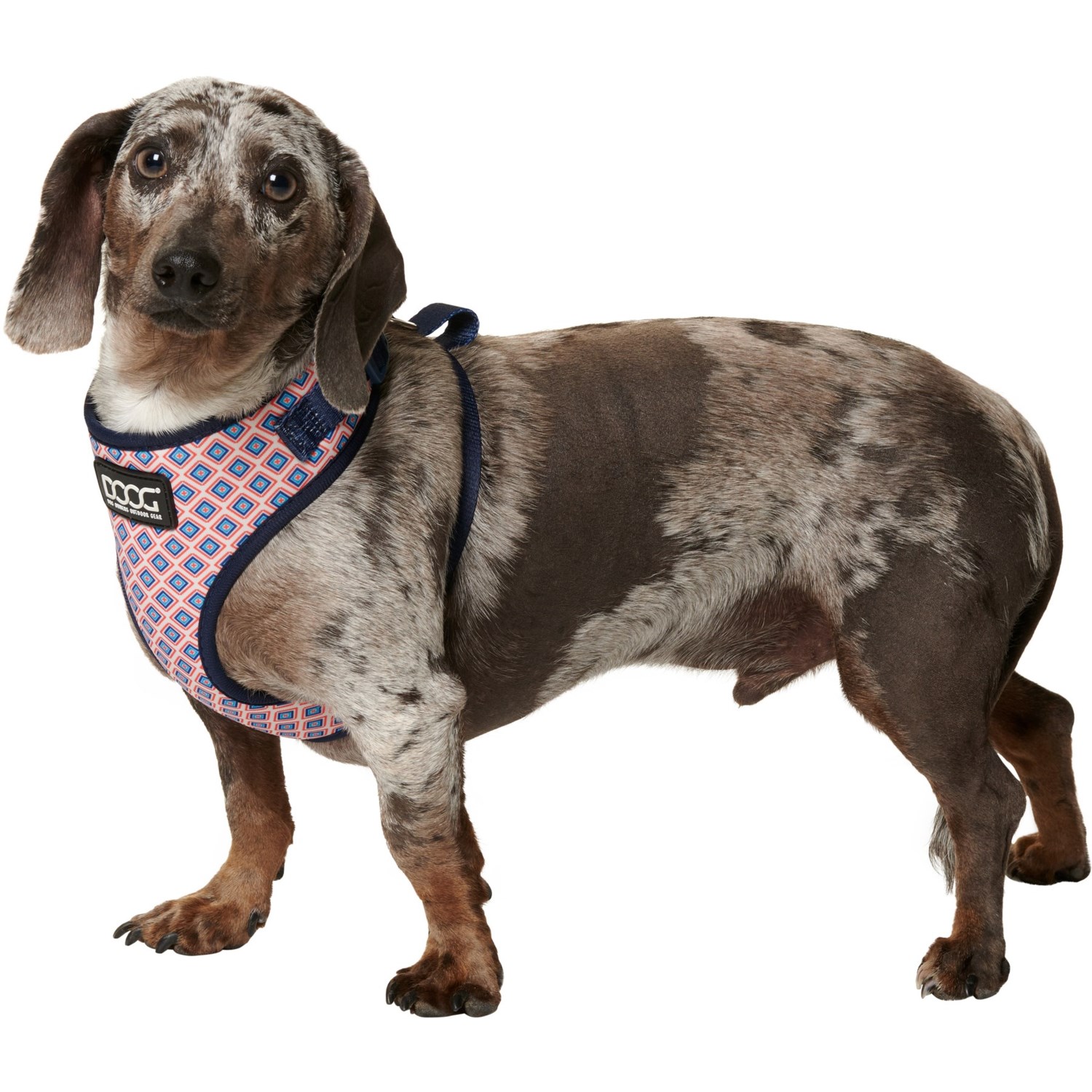 DOOG Neoflex Dog Harness - Save 35%