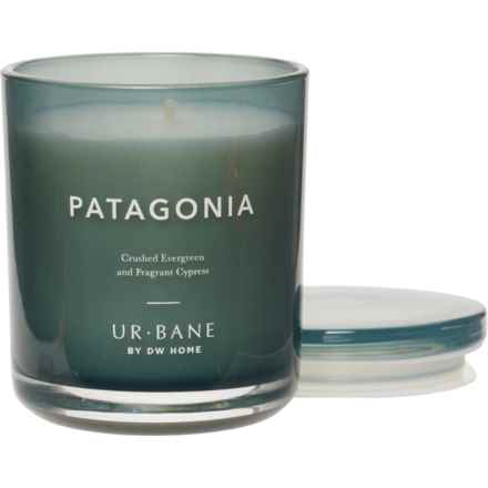 DW Home 9.5 oz. Vacation Patagonia Candle in Patagonia