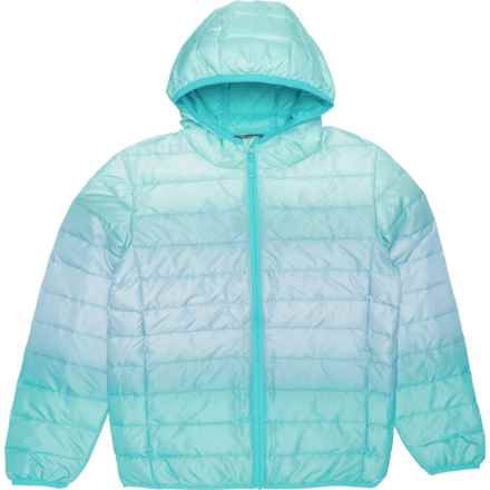 Eddie Bauer Big and Little Boys Down Hooded Jacket - Insulated in Aquamarine