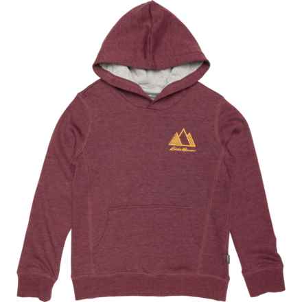 Eddie Bauer Big and Little Boys Graphic Camp Fleece Hoodie in Maroon
