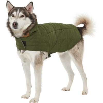 eddie bauer dog raincoat