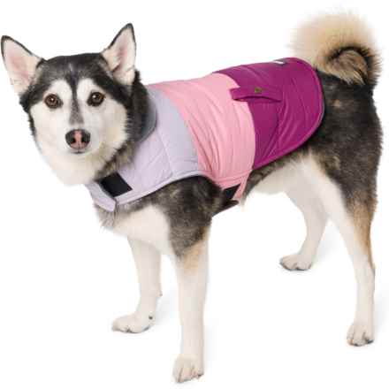 Eddie Bauer Colorblock Dog Parka in Purple Flora