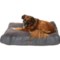 Eddie Bauer Dayton Faux-Suede Dog Bed - 42x30x6” in Charcoal