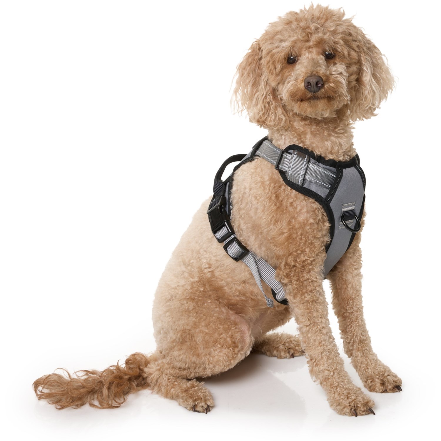 Eddie Bauer Dog Harness - Save 35%