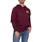9RAYX_2 Eddie Bauer Graphic Hoodie