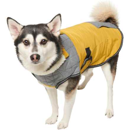 Eddie Bauer High Rock Padded Yoke Field Dog Coat in Yellow