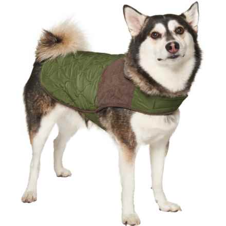 Eddie Bauer Oak Harbor Dog Jacket in Green