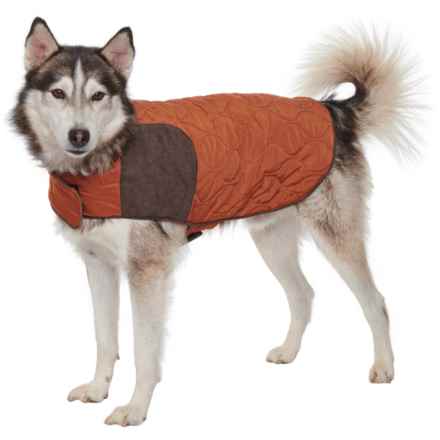 Eddie Bauer Oak Harbor Dog Jacket in Orange