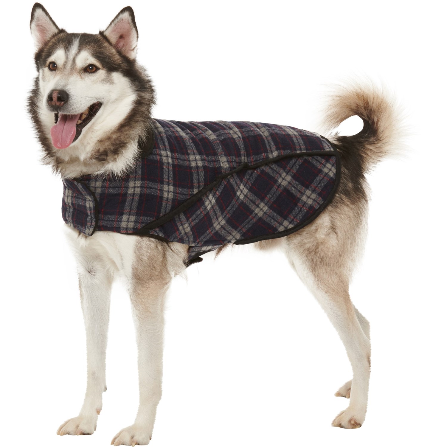 plaid dog vest