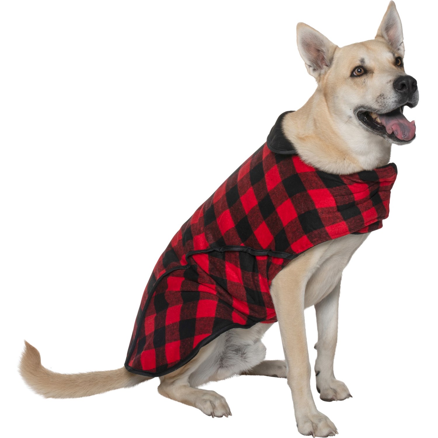 eddie bauer dog vest