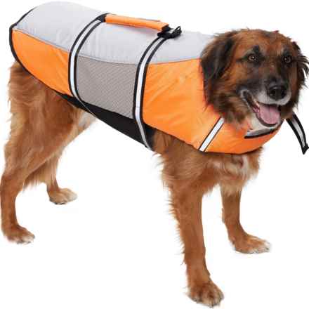 Eddie Bauer Pet Life Jacket - Extra Large in Orange