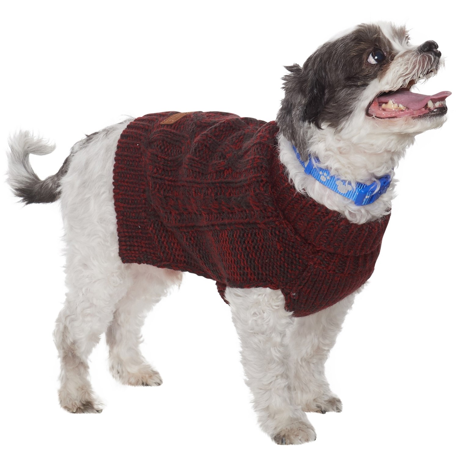 eddie bauer two tone cable dog sweater