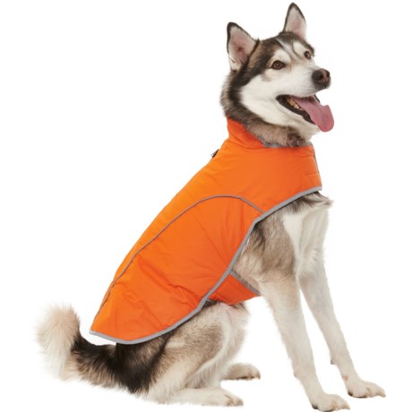 eddie bauer dog jackets