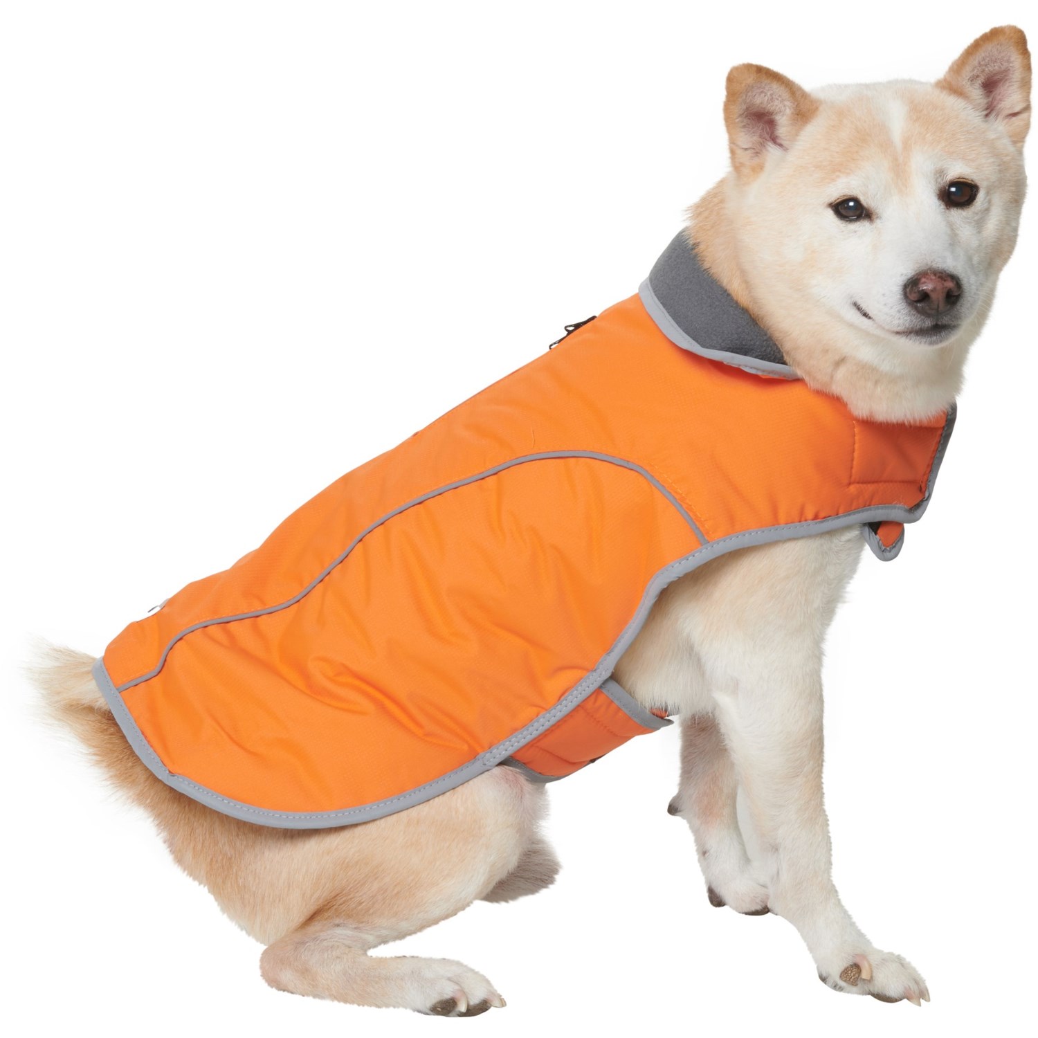 eddie bauer dog jackets