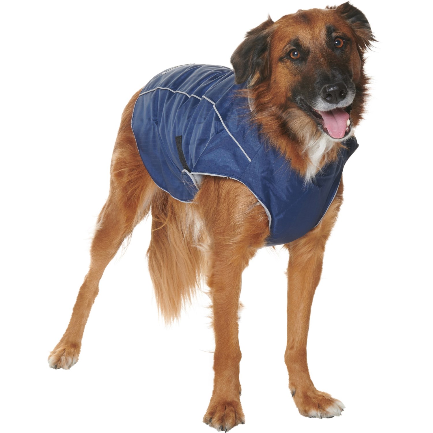 peak performance eddie jacket