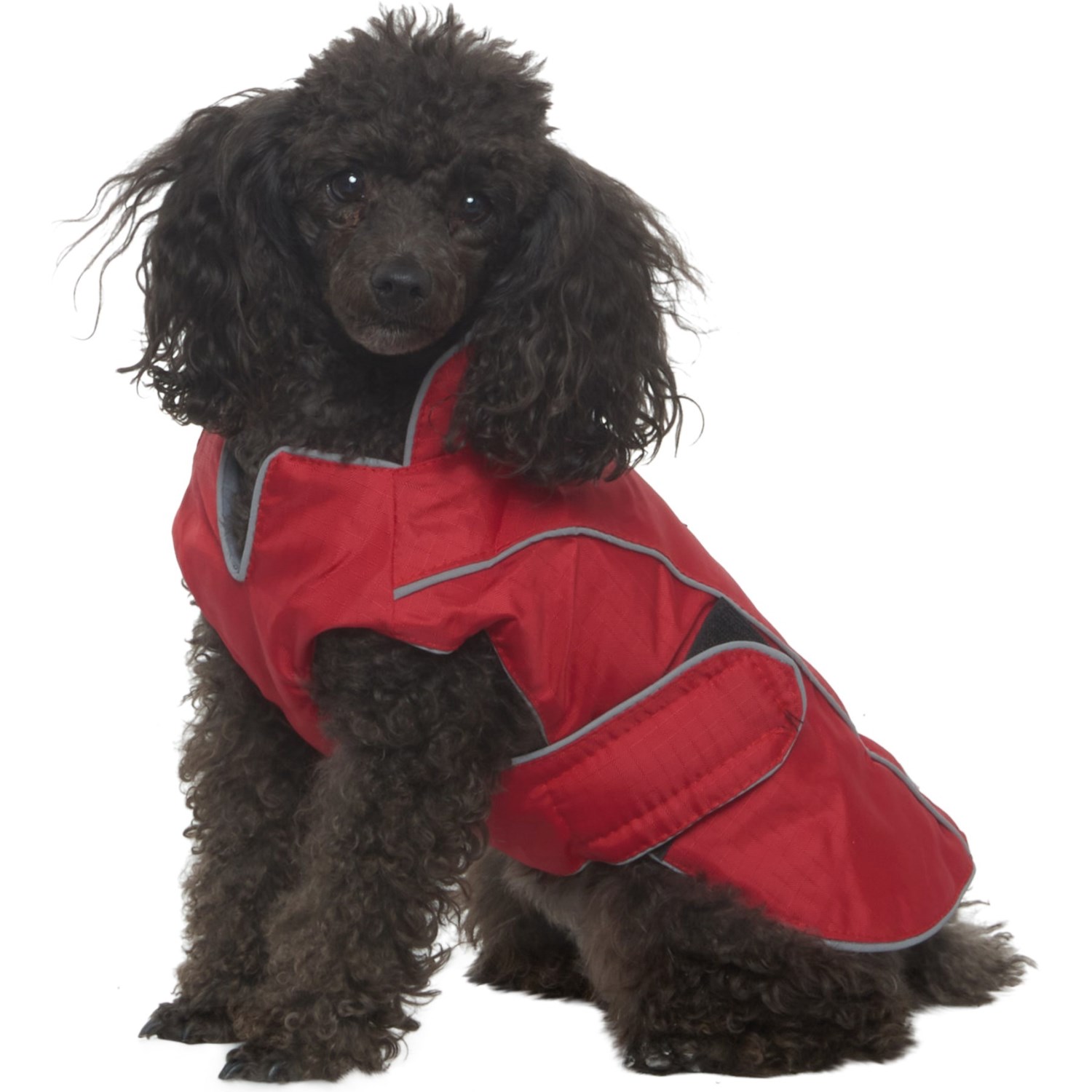 peak performance eddie jacket