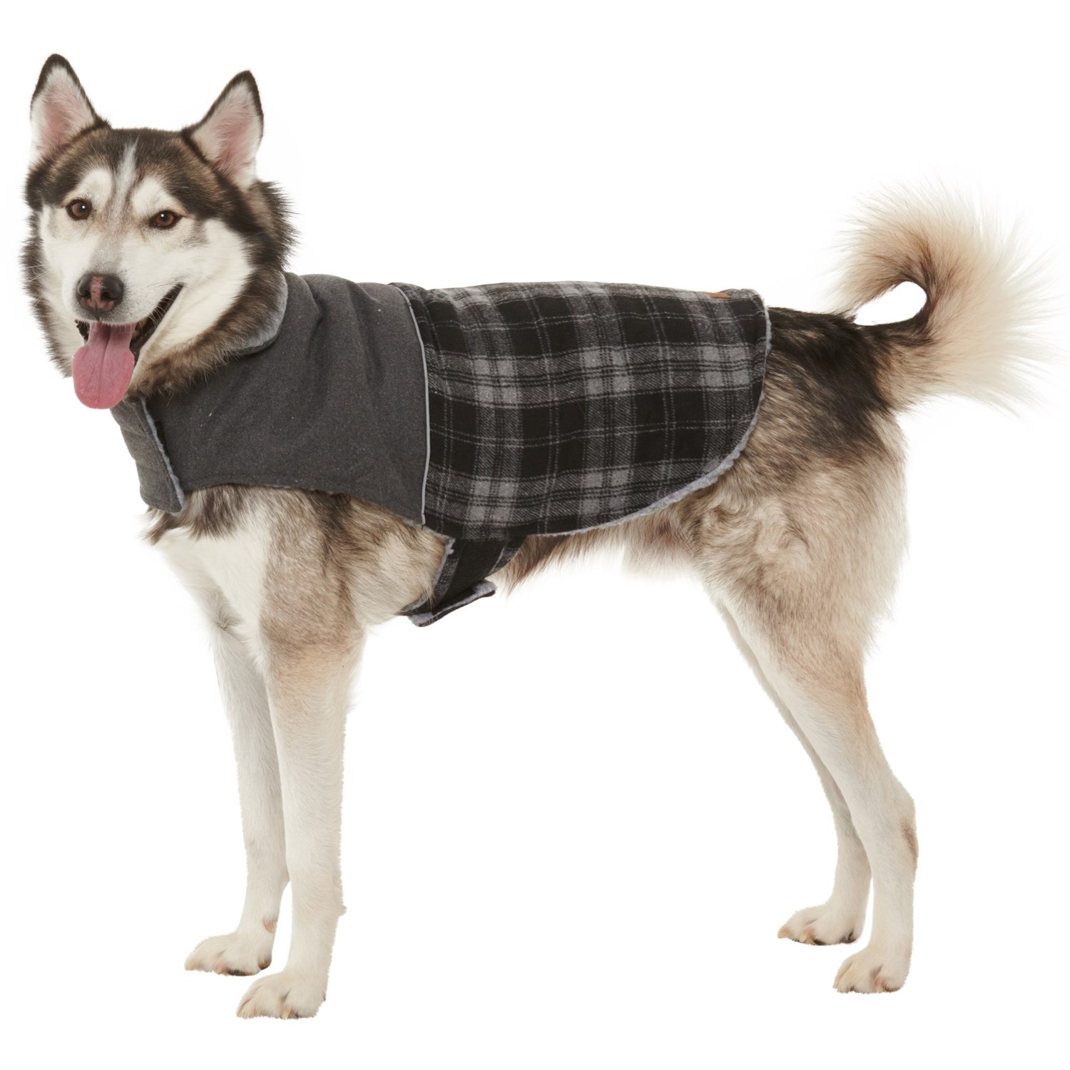 large dog vest