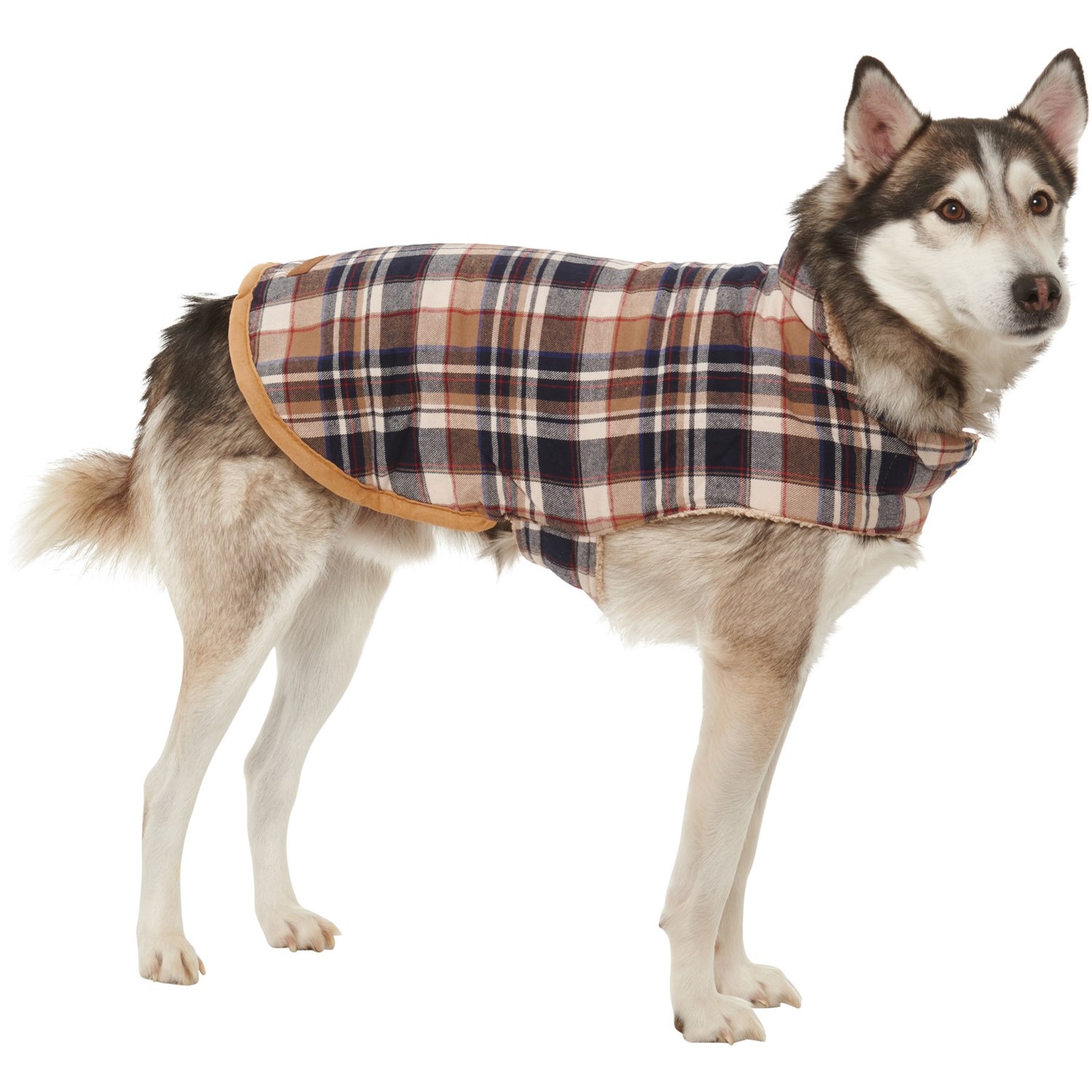 eddie bauer pet coat