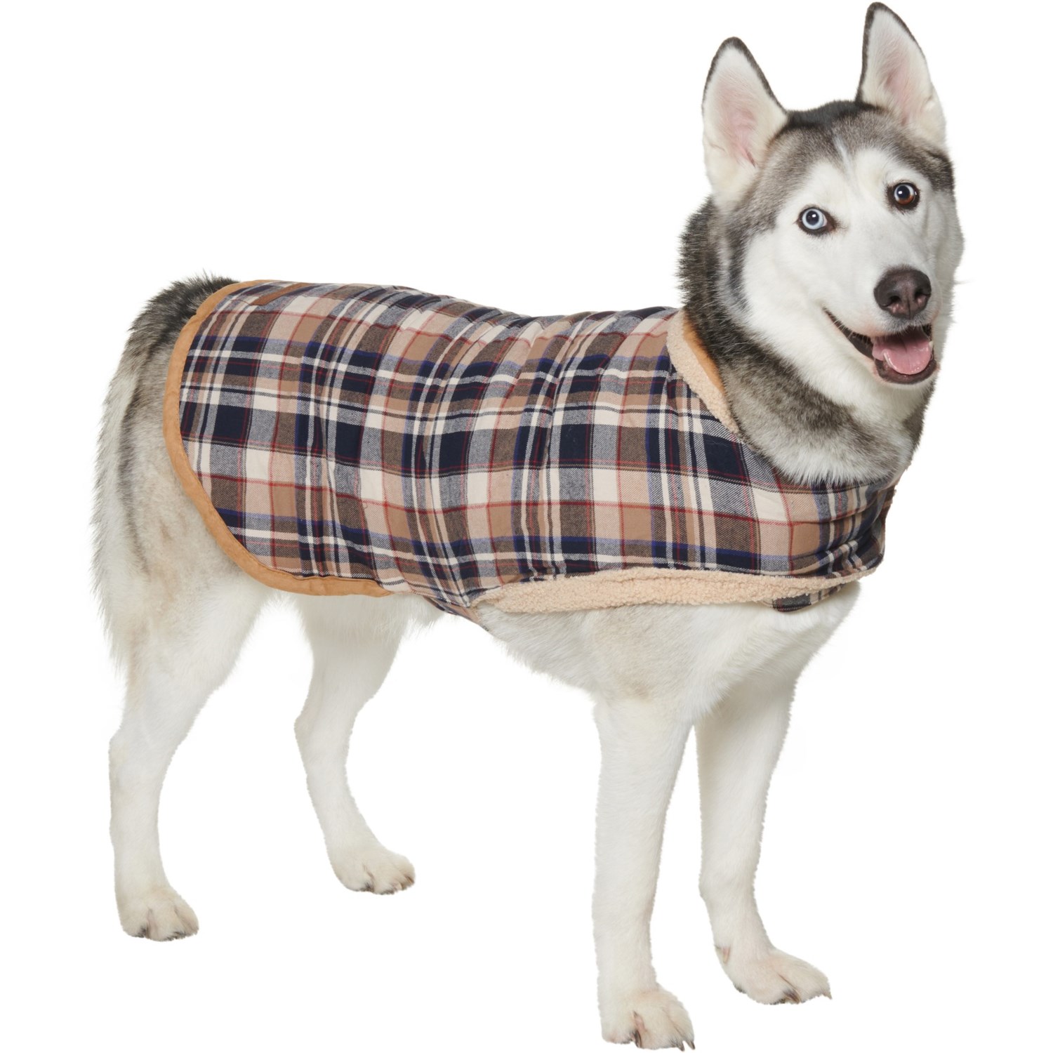 eddie bauer dog jackets