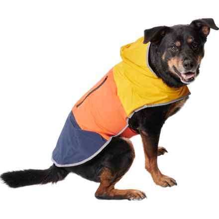 Eddie Bauer Ravenna Color-Block Windbreaker Dog Jacket - XL in Orange/Navy