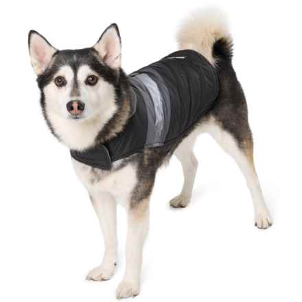 Eddie Bauer Riverbend Dog Vest in Black/Gray