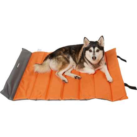 Eddie Bauer Roll-Up Travel Pet Bed - 40x30” in Orange
