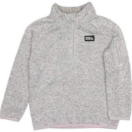 Eddie Bauer Toddler Boys Radiator Fleece Pullover Sweater - Zip Neck in Grey