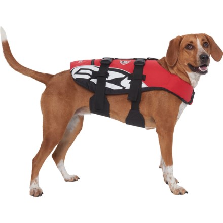 ezydog express harness