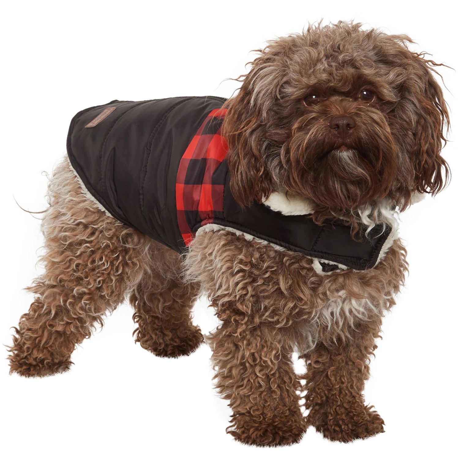 buffalo check dog shirt