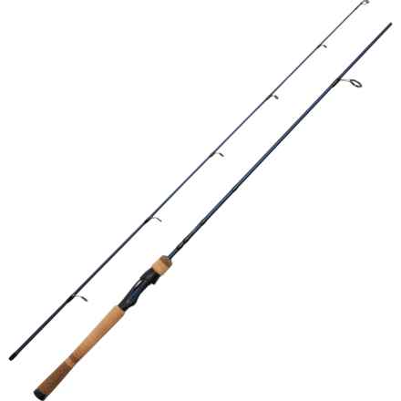 Fenwick Eagle Spinning Rod - 6’, 2-Piece in Multi