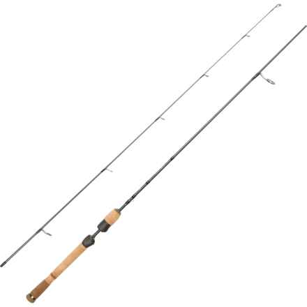 Fenwick HMX Spinning Rod - 6’, 2-Piece in Multi