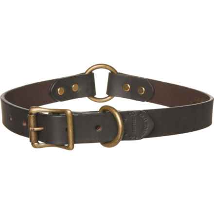 Filson Leather Dog Collar - 23” in Brown/Brass