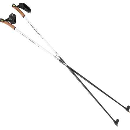 Fischer RC5 Ski Poles - Pair in Multi