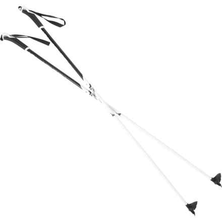 Fischer XC Sport FG Ski Poles - Pair in Multi