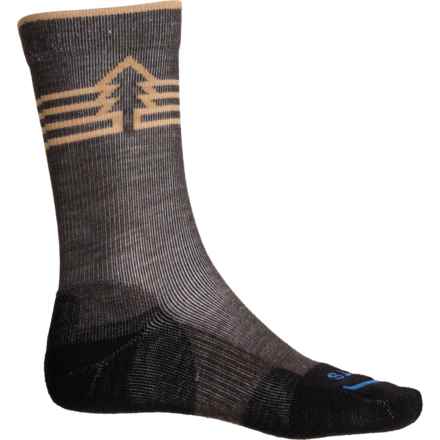 FITS Gifford Light Hiker Socks - Merino Wool, Crew (For Men) in Chestnut