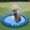 3XTGT_2 Fofos Round Pet Sprinkler Mat - 40”