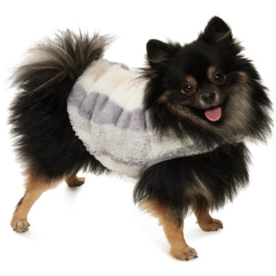 Friends forever dog clothes best sale