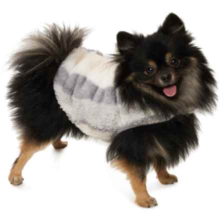 Friends Forever Sherpa Dog Jacket in Blue/Ivory