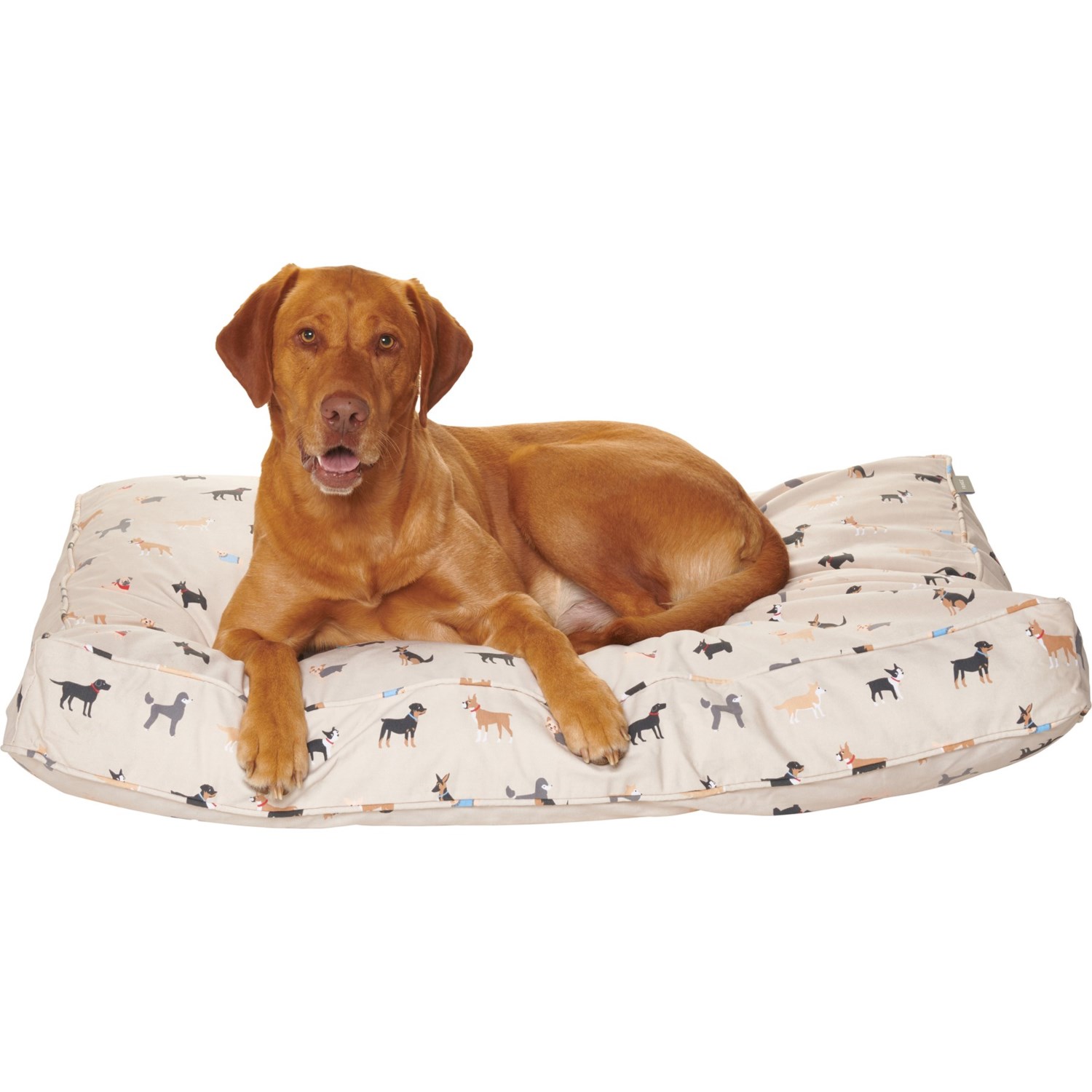 fringe-happy-breeds-dog-bed-42x30x4-5-save-50