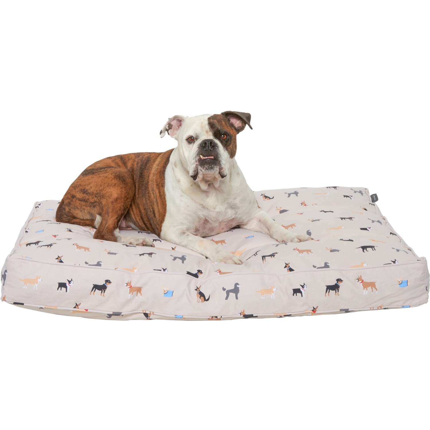 fringe studio dog bed cover