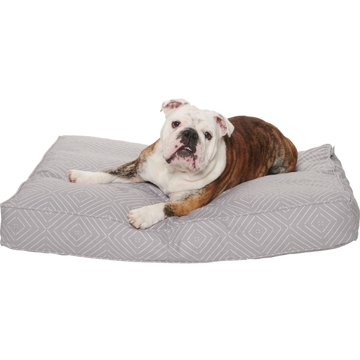 Fringe Studio Weave Cube Orthopedic Memory Foam Dog Bed ...