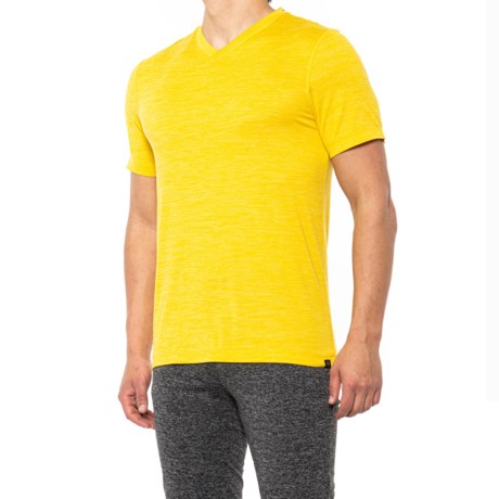 Gaiam Everyday Basic V-Neck T-Shirt (For Men) - Save 28%