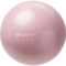 Gaiam Mini Ab Ball in Romance Rose