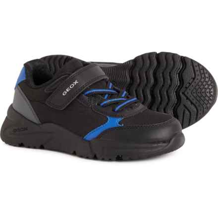 Geox Little Boys Loftus Sneakers in Black/Royal