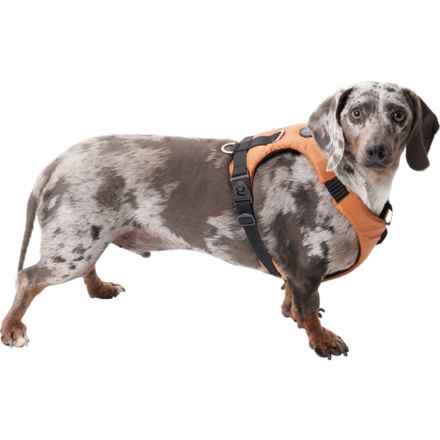 Gooby Trailblazer Dog Harness in Adobe