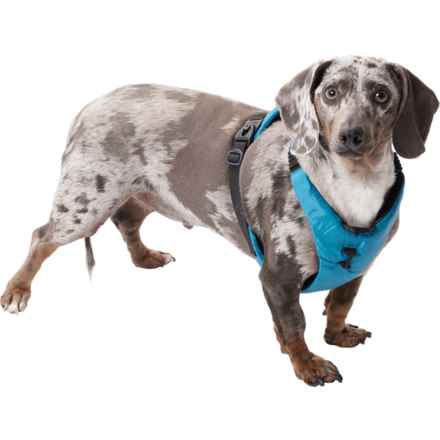 Gooby Trailblazer Dog Harness in Celestial