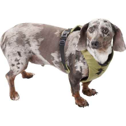 Gooby Trailblazer Dog Harness in Olive Branch