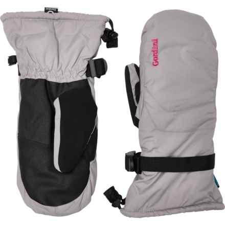 Gordini AquaBloc Down Gauntlet Ski Mittens - Waterproof, Insulated in Clay Grey